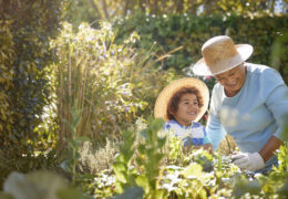 Bien avec les autres, une retraité jardine avec son petit-fils