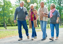 Bien avec les autres, groupe de retraité qui marchent dans un parc et discutent