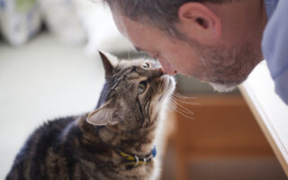 Les chats : 6 bienfaits chez les personnes âgées