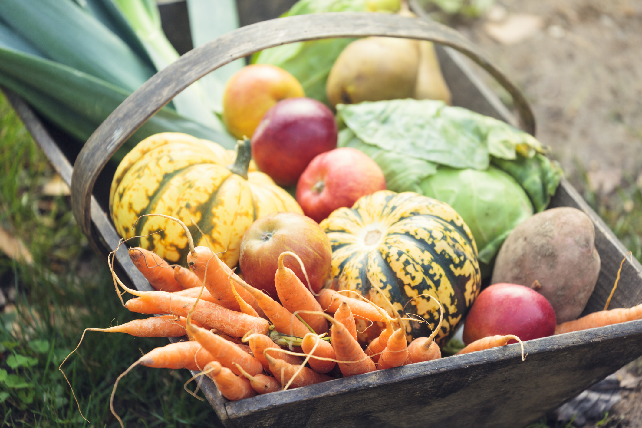 Quels sont les fruits et légumes d'automne ?