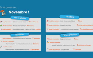 Agenda de novembre - trouver mon activité